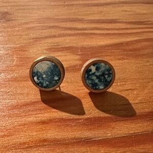 Blue Wood Stud Earrings